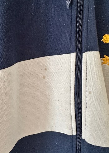 Çizgili Kapüşonlu Fermuarlı Erkek Sweatshirt - Görsel 5