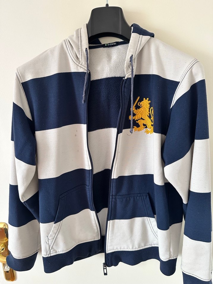 Çizgili Kapüşonlu Fermuarlı Erkek Sweatshirt - Görsel 3