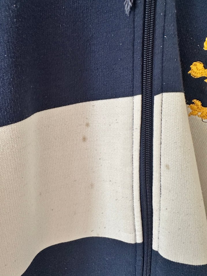 Çizgili Kapüşonlu Fermuarlı Erkek Sweatshirt - Görsel 5