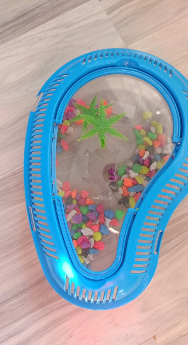 Kaplumbağa akvaryum - Görsel 2