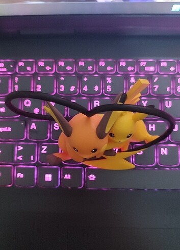  Beden Pikachu ve Raichu 3d Figür