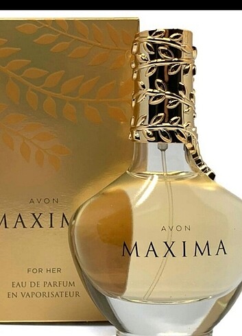 Avon maxsima