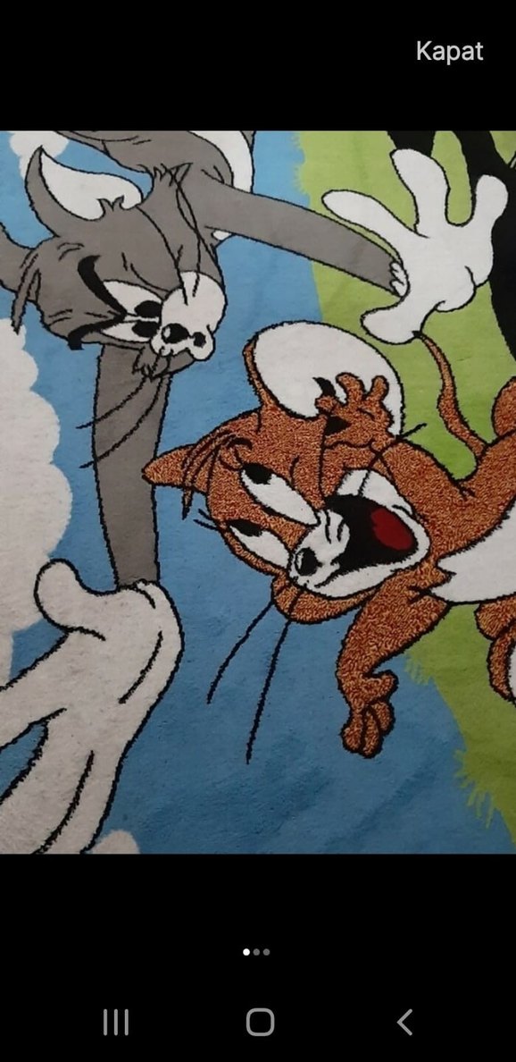 Çocuklar için Çok Renkli Tom ve Jerry Halısı - Görsel 2