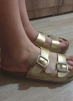 U.S Polo Assn.