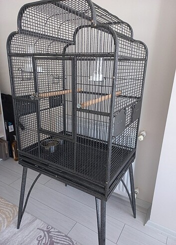 Papağan-Maymun Kafesi - Görsel 2