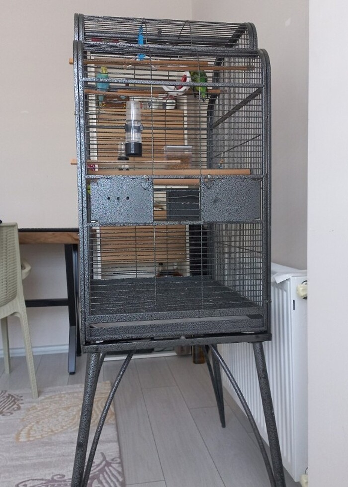 Papağan-Maymun Kafesi - Görsel 3