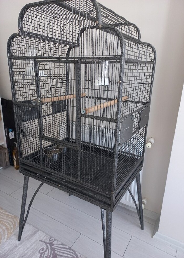 Papağan-Maymun Kafesi - Görsel 2