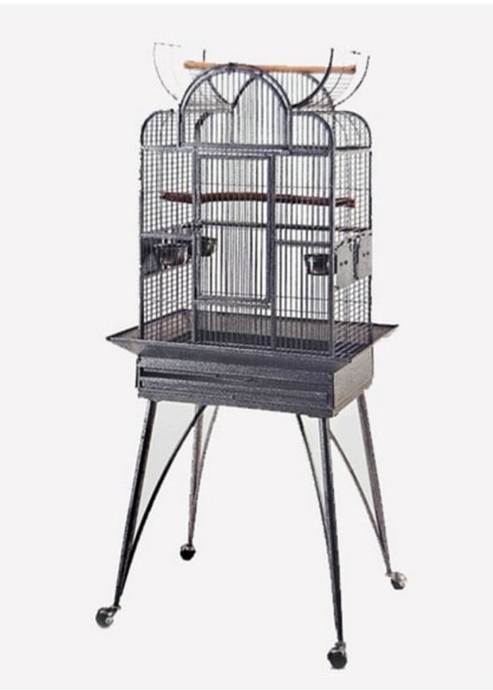 Papağan-Maymun Kafesi - Görsel 4