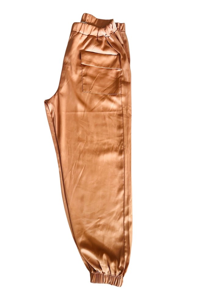 Parlak Kadın Pantolon - Görsel 3