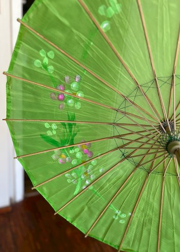 Yeşil japon şemsiyesi - Görsel 4