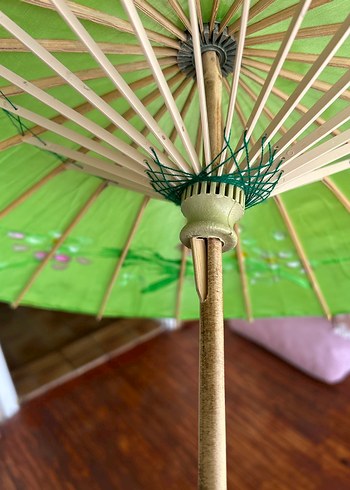Yeşil japon şemsiyesi - Görsel 5