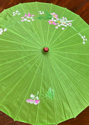 Yeşil japon şemsiyesi - Görsel 2