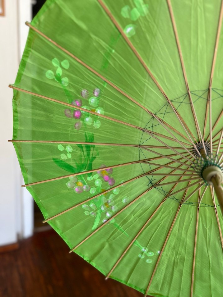 Yeşil japon şemsiyesi - Görsel 4