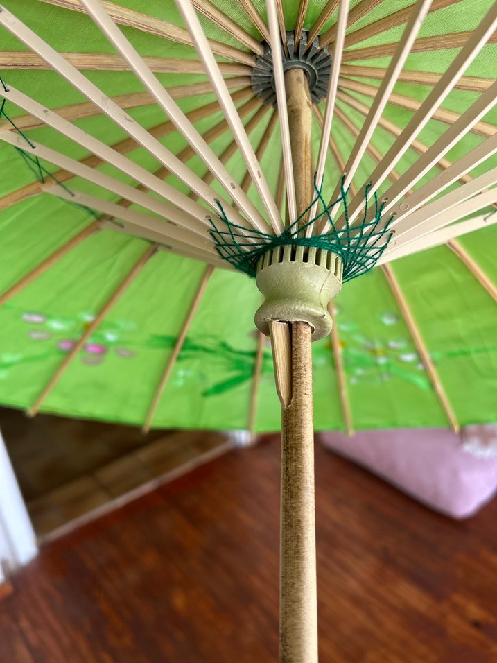 Yeşil japon şemsiyesi - Görsel 5