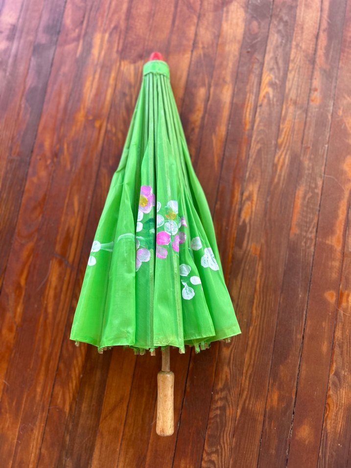 Yeşil japon şemsiyesi - Görsel 3