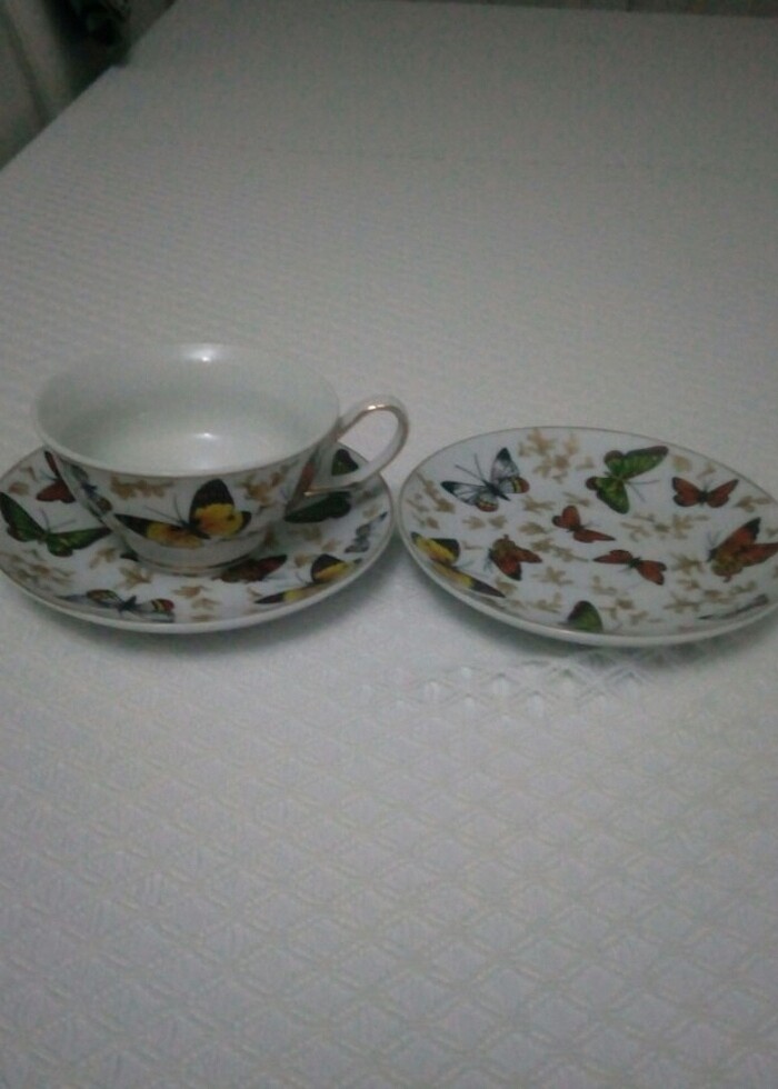 Çay fincanı - Görsel 2