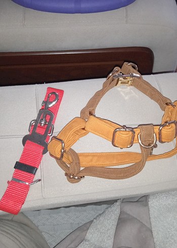 GoPawGo Parlak Kahverengi Köpek Tasması - Görsel 10