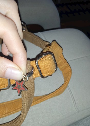 GoPawGo Parlak Kahverengi Köpek Tasması - Görsel 7