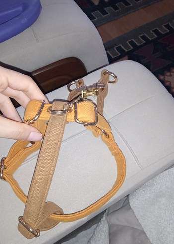 GoPawGo Parlak Kahverengi Köpek Tasması - Görsel 5