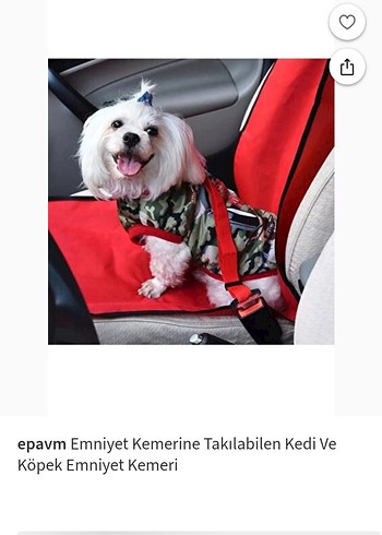 GoPawGo Parlak Kahverengi Köpek Tasması - Görsel 3