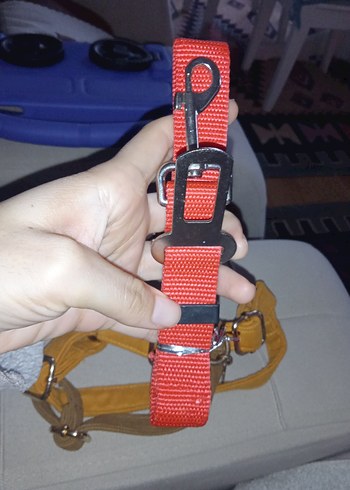 GoPawGo Parlak Kahverengi Köpek Tasması - Görsel 9