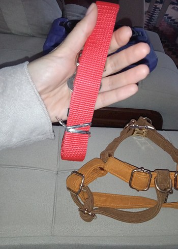 GoPawGo Parlak Kahverengi Köpek Tasması - Görsel 8