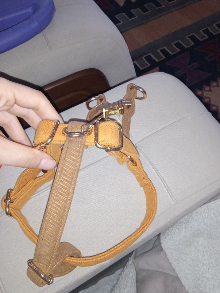 GoPawGo Parlak Kahverengi Köpek Tasması - Görsel 5