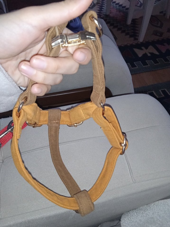 GoPawGo Parlak Kahverengi Köpek Tasması - Görsel 4