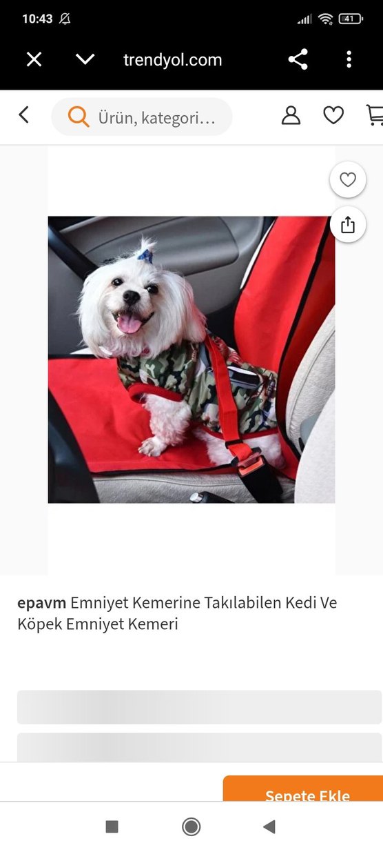 GoPawGo Parlak Kahverengi Köpek Tasması - Görsel 3