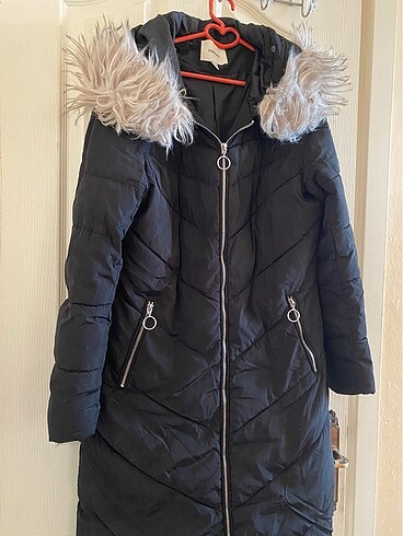 Koton mont