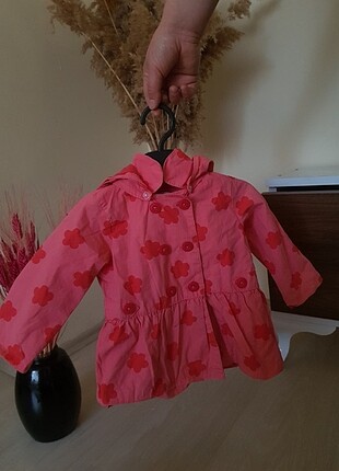 LC Waikiki Mont