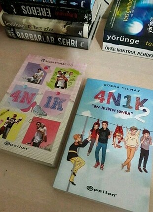 4n1k serisi
