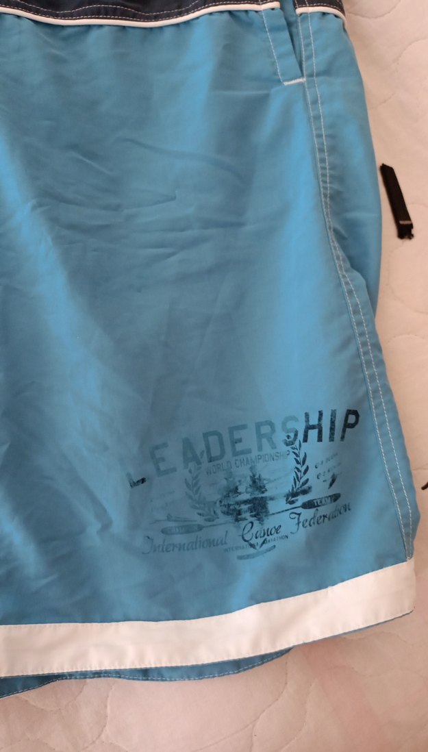 Mavi Erkek i Şortlu Plaj Şortu - Görsel 4