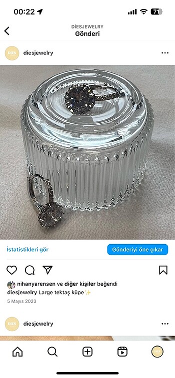 Diğer Altın kaplama taşlı küpe