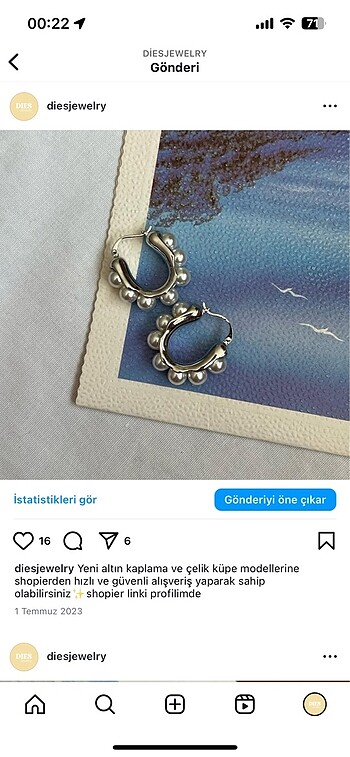 Diğer Çelik küpe
