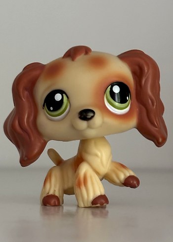 Lps puzzle spaniel