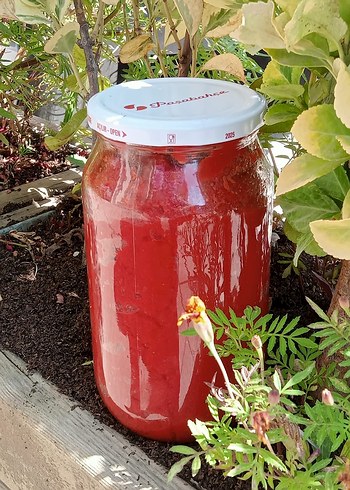 Köy salçası - Görsel 5