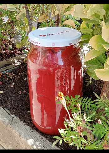 Köy salçası - Görsel 4