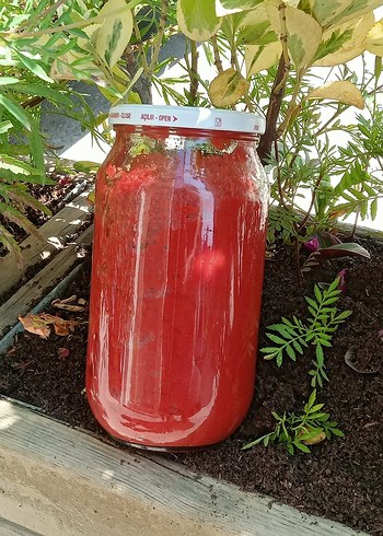 Köy salçası - Görsel 3