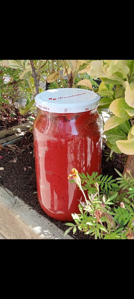 Köy salçası - Görsel 4