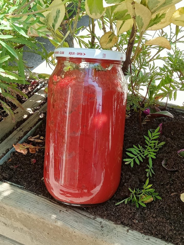 Köy salçası - Görsel 3