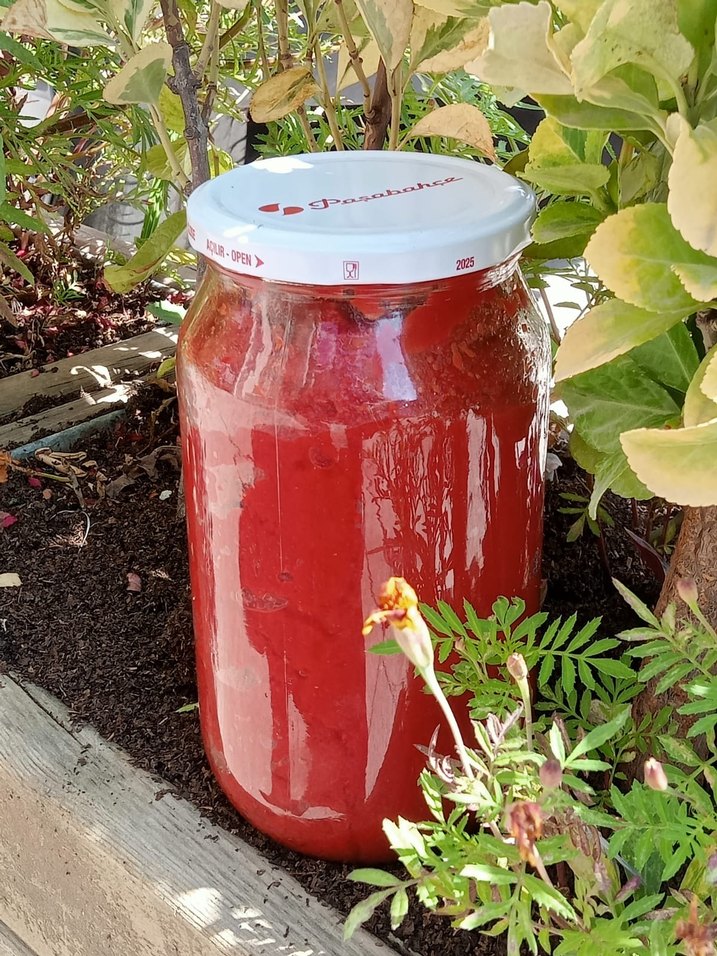 Köy salçası - Görsel 2