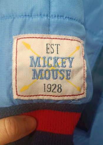 açıklamayı okuyunuz disney collection erkek çocuk mont - Görsel 13