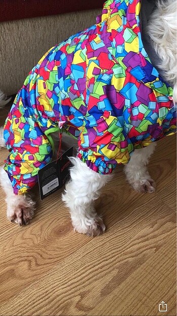 Köpek montu - Görsel 10