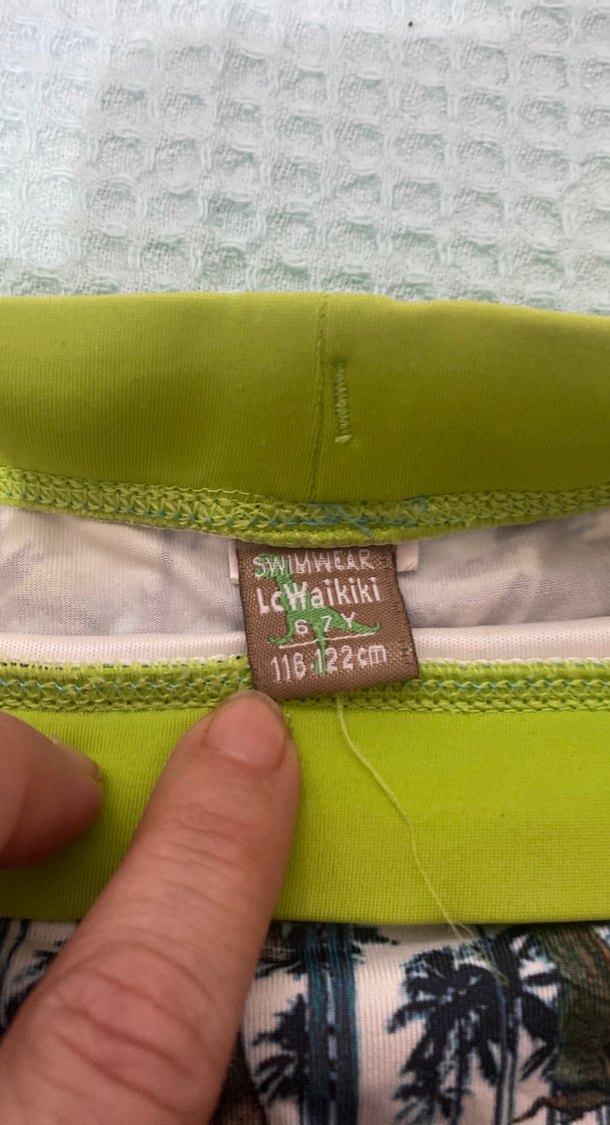 Renkli Dinozor Desenli Erkek Mayo Şortu - Görsel 2