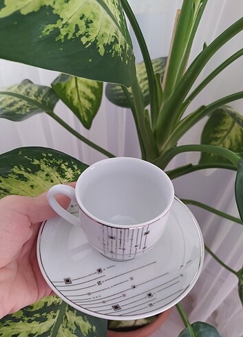 Beden Cay kahve fincanı takımı 24 parça