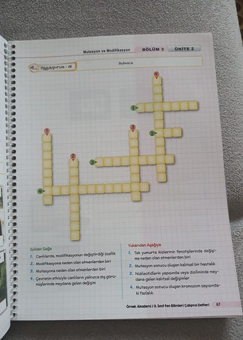 Beden 8. Sınıf Fen Bilimleri Çalışma Defteri