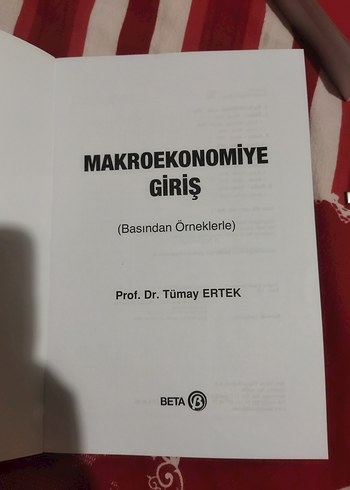 Makroekonomiye Giriş - Prof. Dr. Tümay Ertek - Görsel 2