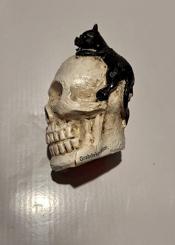 Diğer Kafatası Üzerinde Siyah Kedi Biblosu Halloween