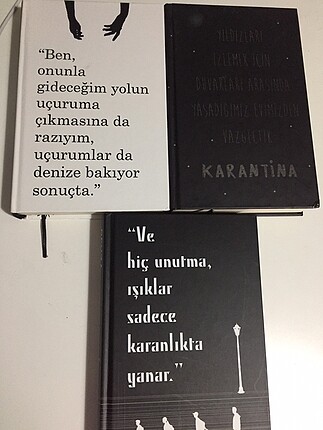 Beyza Alkoç - Karantina serisi